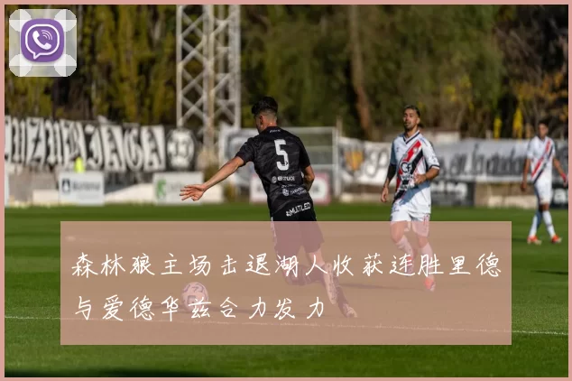 森林狼主场击退湖人收获连胜里德与爱德华兹合力发力