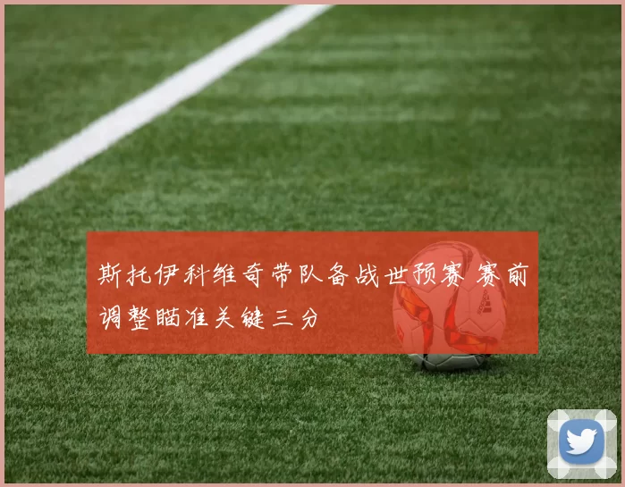 斯托伊科维奇带队备战世预赛 赛前调整瞄准关键三分