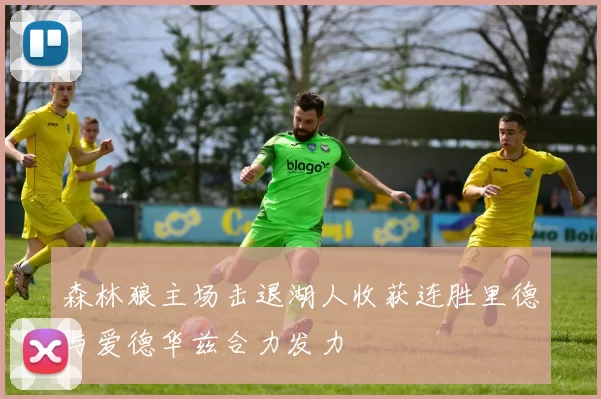 森林狼主场击退湖人收获连胜里德与爱德华兹合力发力