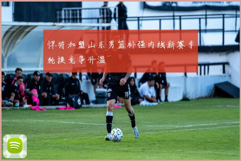 悍将加盟山东男篮补强内线新赛季轮换竞争升温